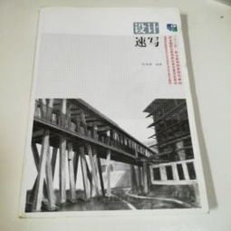 圖書設(shè)計速寫 從構(gòu)思到呈現(xiàn)的藝術(shù)之旅